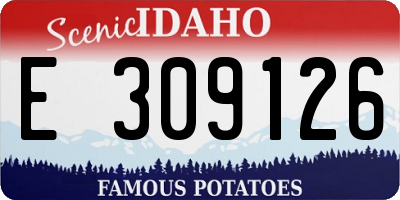 ID license plate E309126