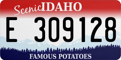 ID license plate E309128