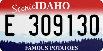 ID license plate E309130