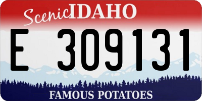 ID license plate E309131