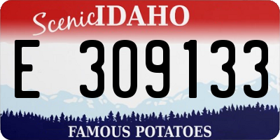 ID license plate E309133