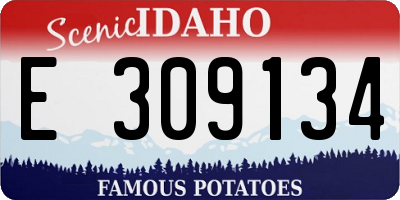 ID license plate E309134