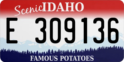 ID license plate E309136