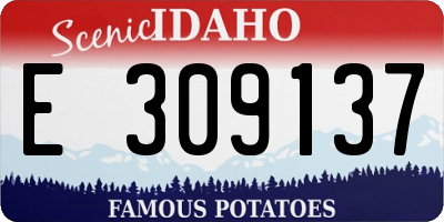 ID license plate E309137