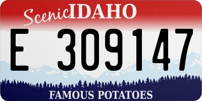 ID license plate E309147