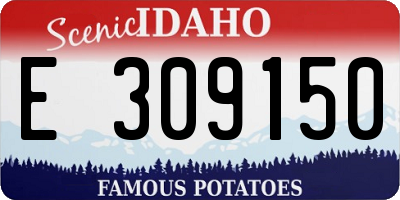 ID license plate E309150