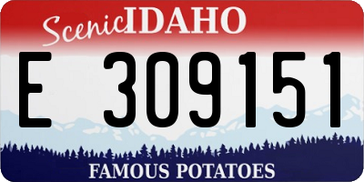 ID license plate E309151