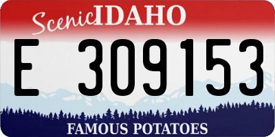ID license plate E309153