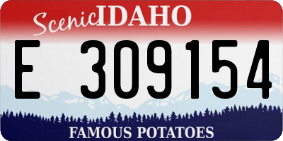 ID license plate E309154
