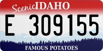 ID license plate E309155