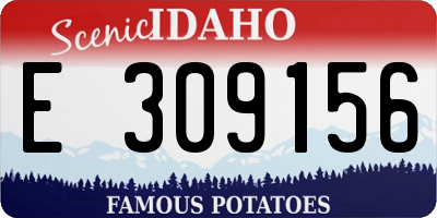 ID license plate E309156