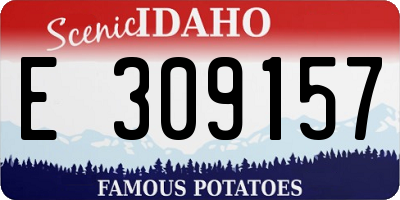 ID license plate E309157