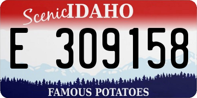 ID license plate E309158