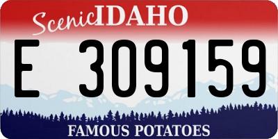 ID license plate E309159