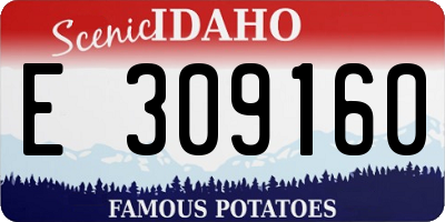 ID license plate E309160