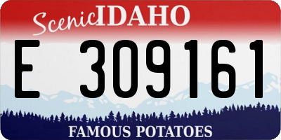 ID license plate E309161