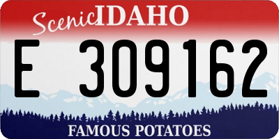 ID license plate E309162