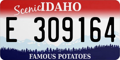 ID license plate E309164
