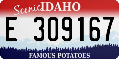 ID license plate E309167
