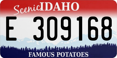 ID license plate E309168