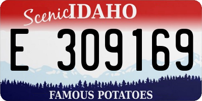 ID license plate E309169