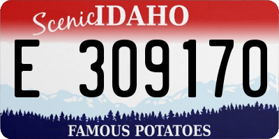 ID license plate E309170