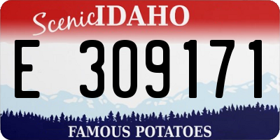 ID license plate E309171