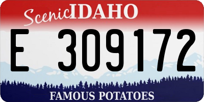 ID license plate E309172