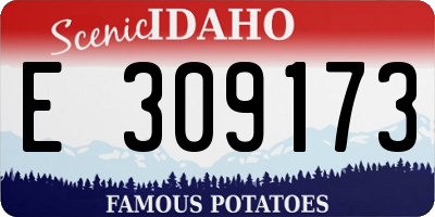 ID license plate E309173