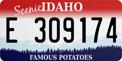 ID license plate E309174