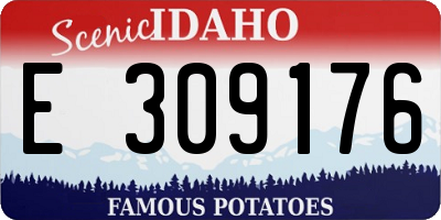 ID license plate E309176