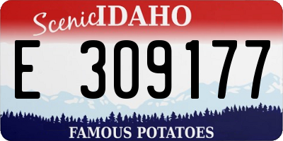 ID license plate E309177