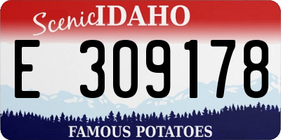 ID license plate E309178