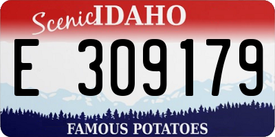 ID license plate E309179