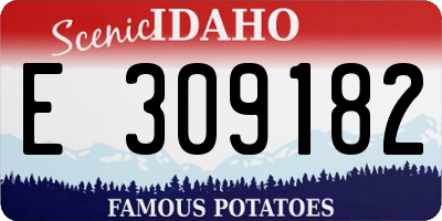 ID license plate E309182