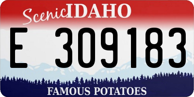 ID license plate E309183