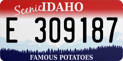 ID license plate E309187