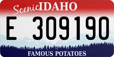 ID license plate E309190