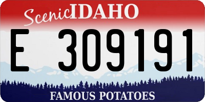 ID license plate E309191