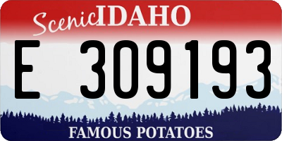 ID license plate E309193