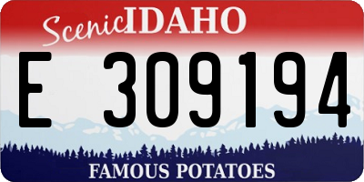 ID license plate E309194