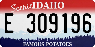 ID license plate E309196