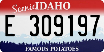 ID license plate E309197