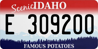 ID license plate E309200