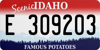 ID license plate E309203