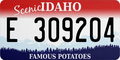 ID license plate E309204