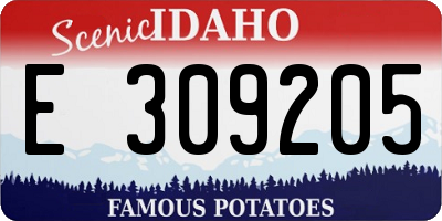 ID license plate E309205