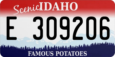 ID license plate E309206