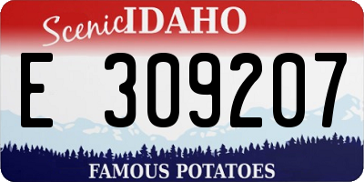 ID license plate E309207