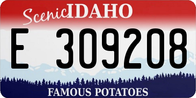 ID license plate E309208
